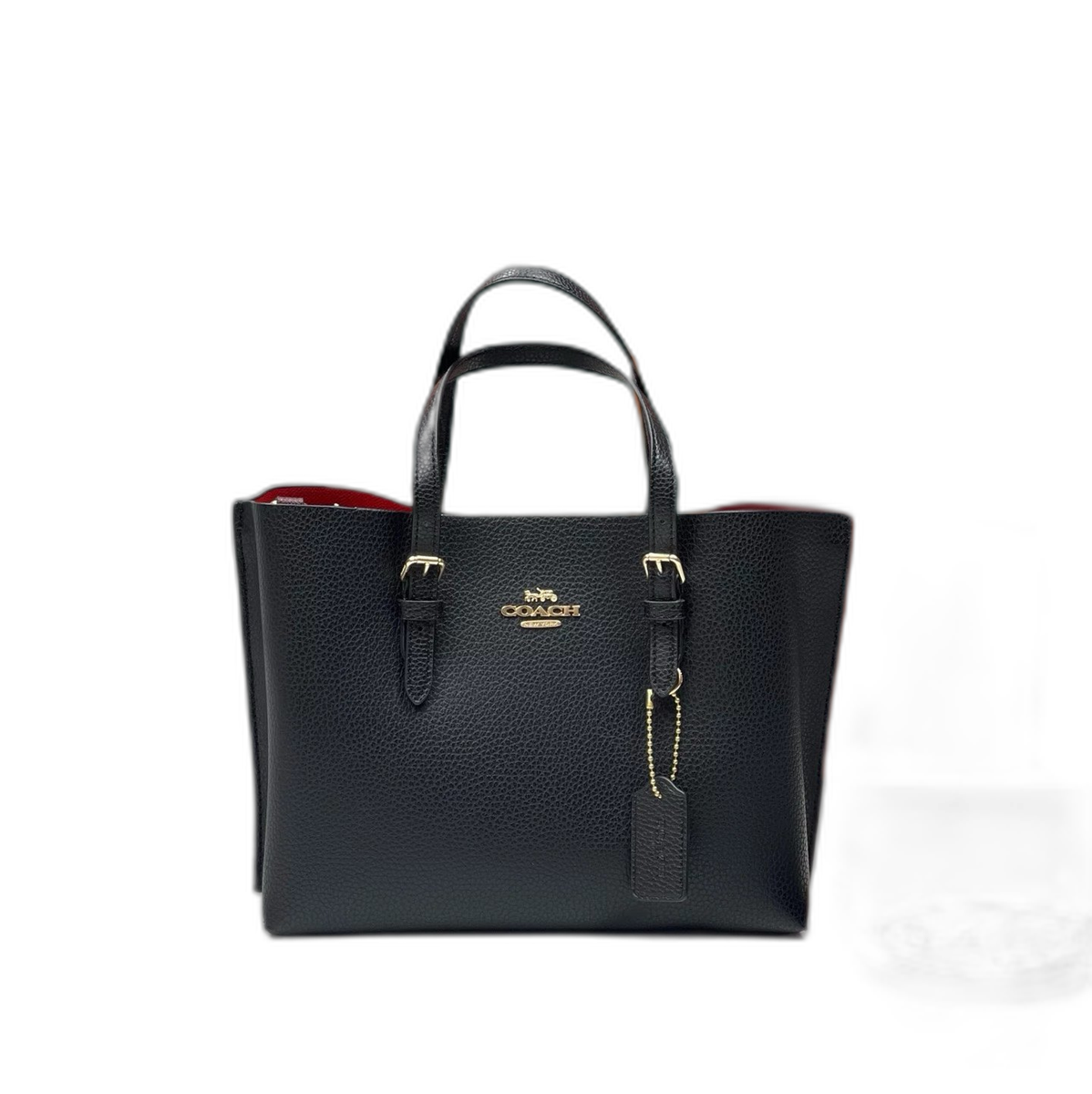 Coach Mollie Tote 25 in Signature Canvas