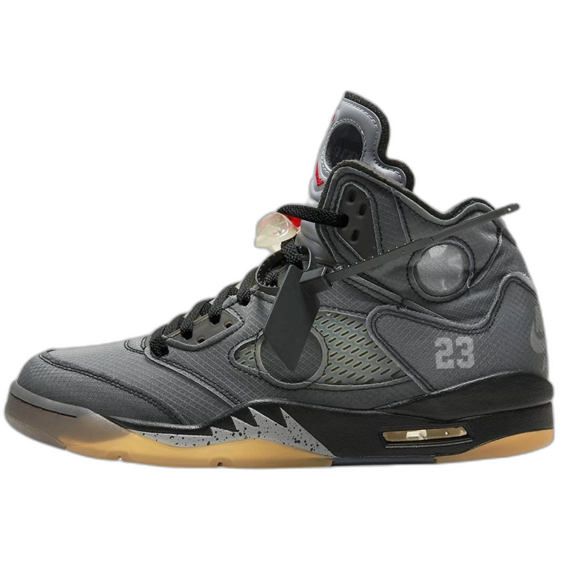 Air Jordan 5 Retro cicada wings